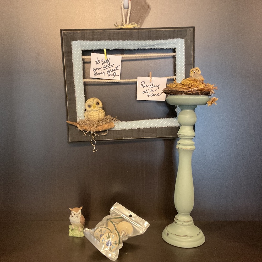 Blue bird bundle $15